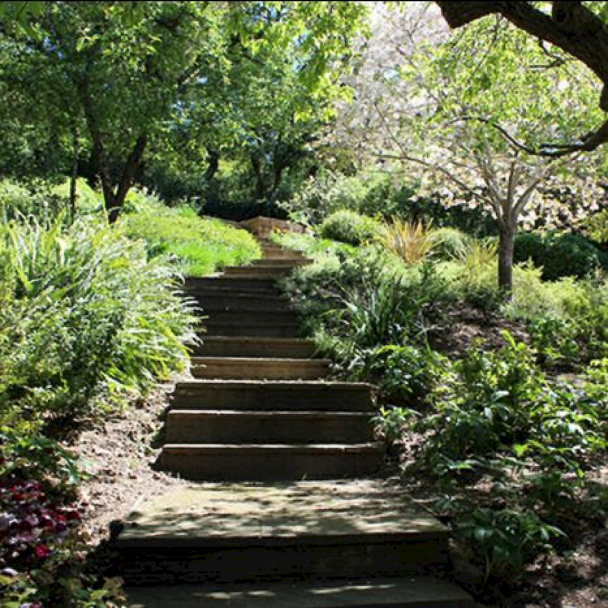 Glorious Gardens Of San Rafael At Marin Art And Garden Center